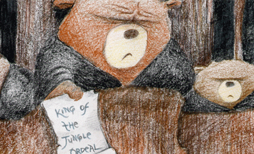 Bearmas and the Power of Storytelling